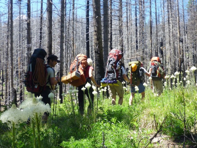 backpacks backpacking - pack testing in the north cascades, washington.