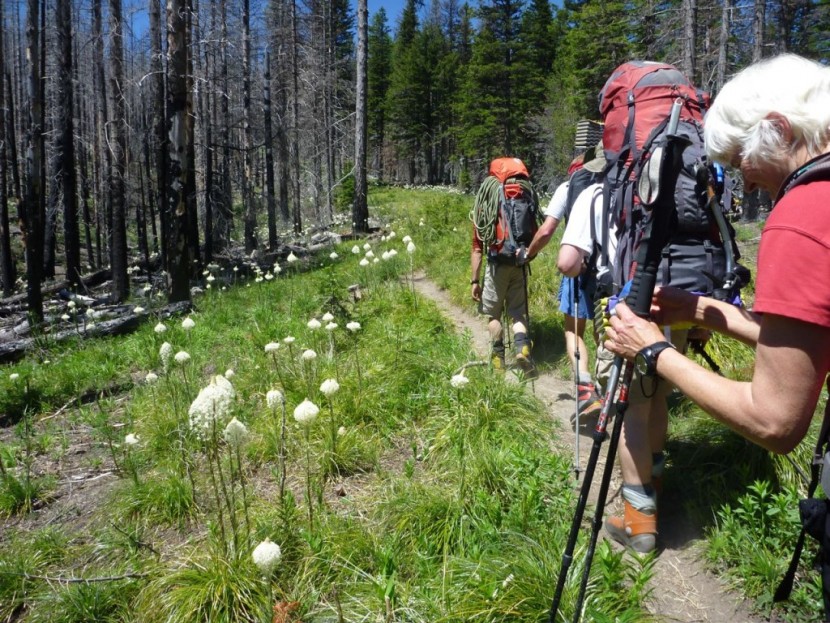 backpacks backpacking - testing backpacks in the oregon cascades.