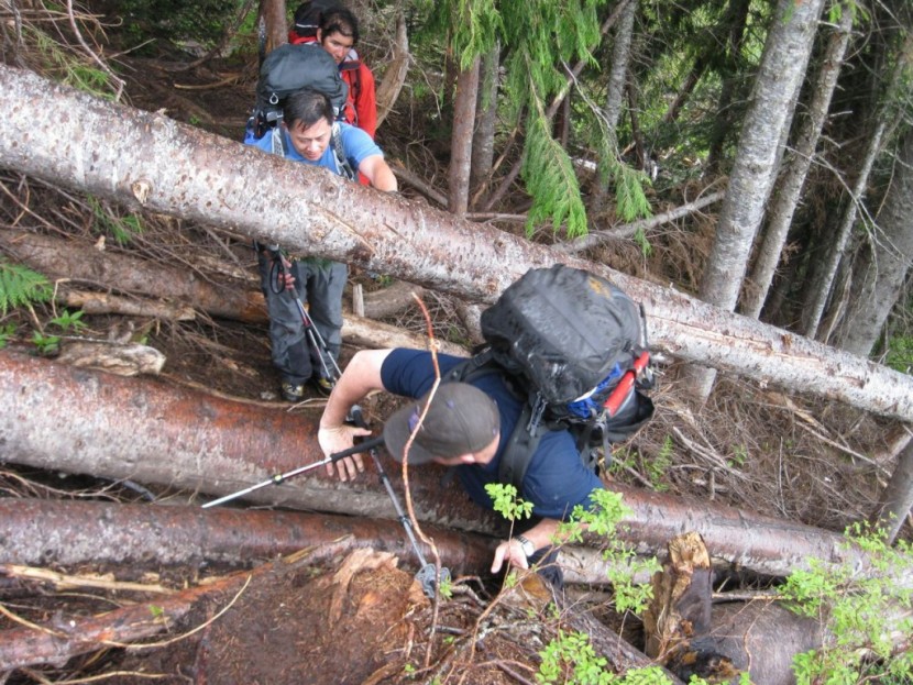 backpacks backpacking - dan whitmore heading into boston basin, while pack testing in the...