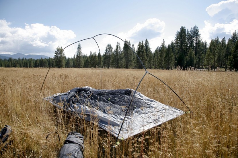 nemo obi 2 - nemo obi pole structure