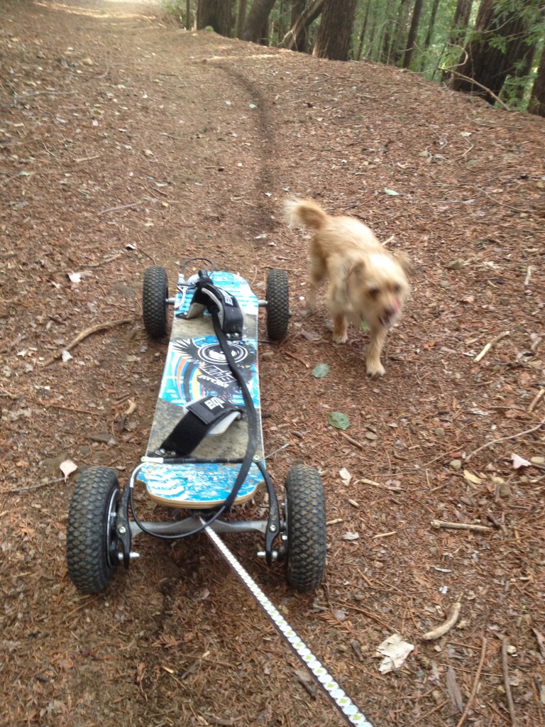 OGL Gear Adventure #1 - Hike Mt. Tam and Mountain Board down to free food