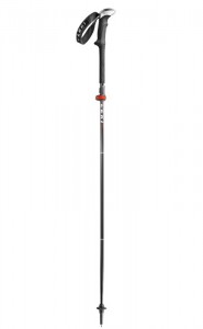 Product photo of Leki Micro Stick