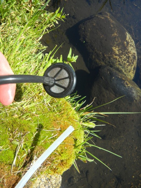 msr sweetwater microfilter - the pre-filter on the sweetw#ter, by msr.