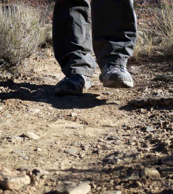 salomon xa pro 3d gtx for women - the salomon xa pro 3d, though it is marketed as a running shoe...