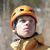 Luke Lydiard Luke Lydiard
