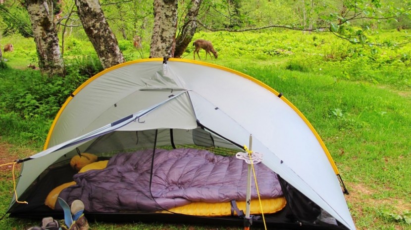 zpacks twinn quilt 20 - tarptent double rainbow with the zpacks twin quilt sleeping bag in...