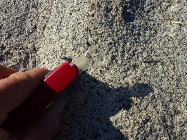 victorinox swisschamp swiss army knife - like the pliers (and some of the other tools) on the swisschamp, the...