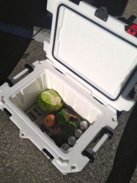 pelican 45 elite - a loaded up pelican 45q. the interior is bright, cleans easily, and...