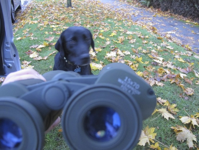 celestron cavalry 15x70 - the high-powered celestron calvary is not built to see objects...