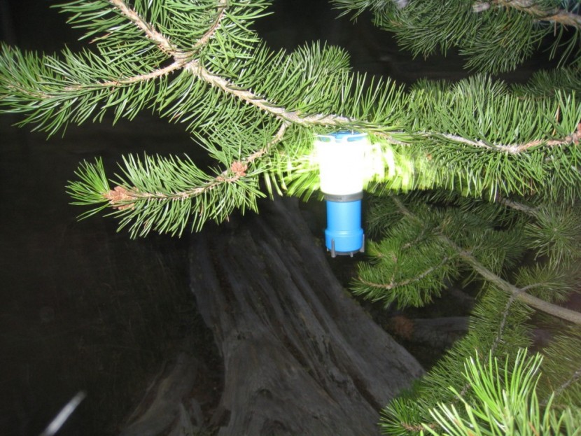 black diamond voyager - black diamond voyager