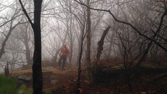 pedometer - testing distance and step count on a foggy new york trail run.