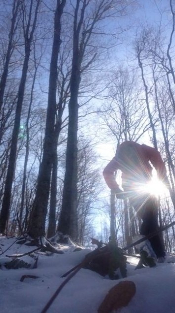 pedometer - whether counting steps and measuring distance in the wild, or in...