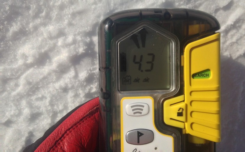 pieps dsp pro - the dsp pro with one of the three victims in a &quot;box,&quot; showing that...