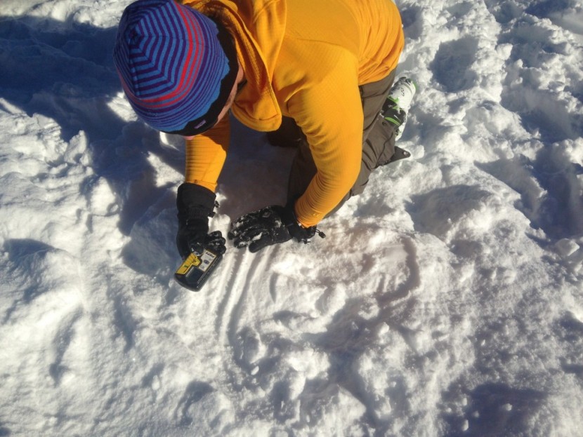 pieps dsp pro - ian nicholson testing a dsp pro.