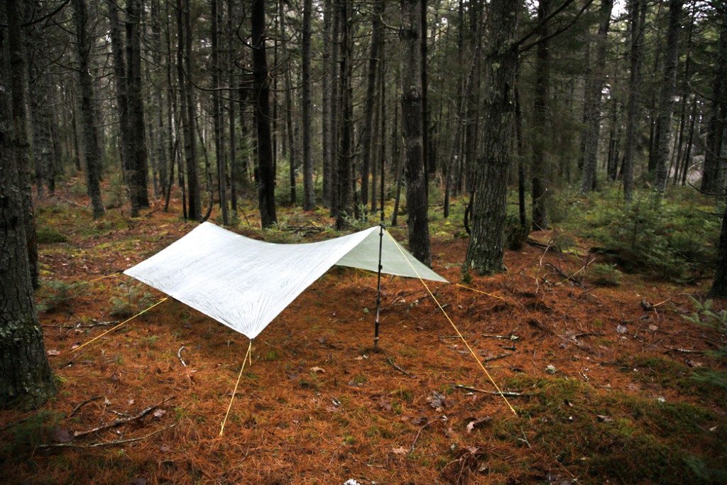 backpacking tent - the mountain laurel designs cuben fiber grace tarp in a well...