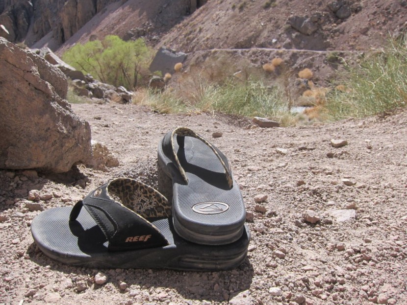 reef women&#039;s fanning - we like the subtle leopard print lining on the women&#039;s fanning. this...