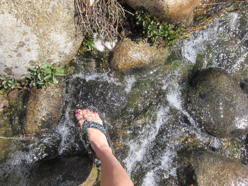 reef sandy sandal - we really appreciated how quickly the reef sandy dried. although its...