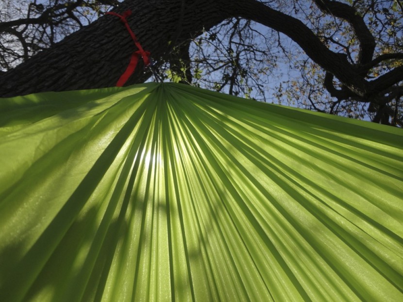 byer traveller lite - the byer traveller lite comes in a variety of vibrant colors.