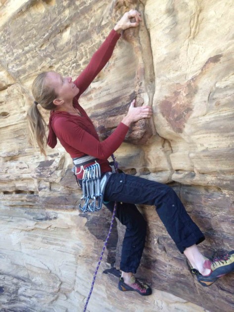 black diamond posiwire quickdraw - too many posiwires on your harness might weigh you down. then again...