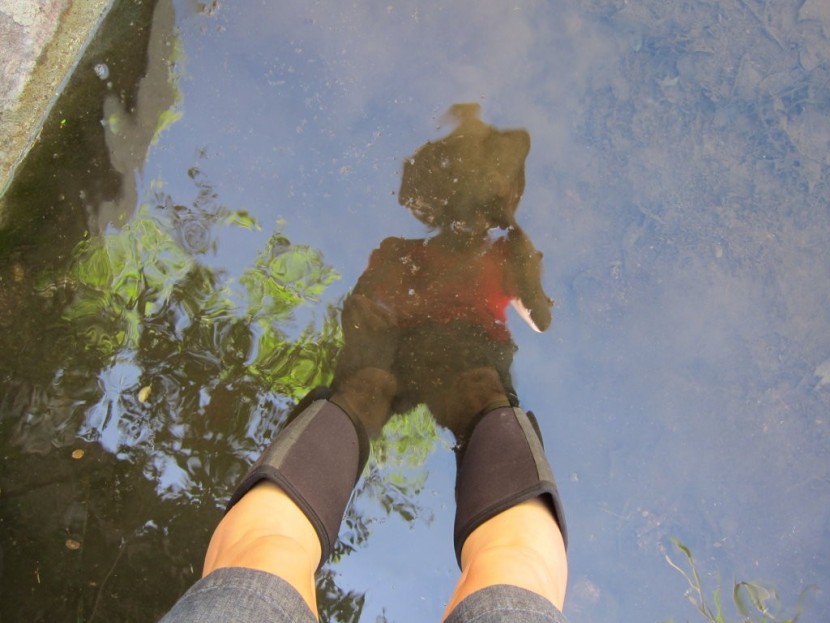 bogs women's classic high - testing out traction on a warm, sunny day. (we didn't want to be...