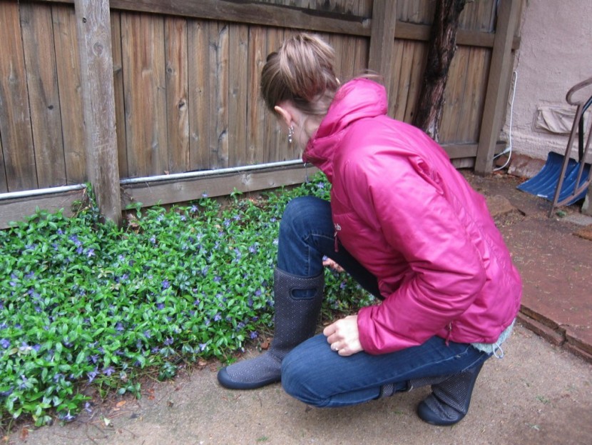 bogs women&#039;s summit - our testers really loved these boots until one started leaking after...