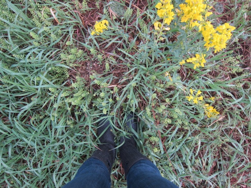 bogs women&#039;s summit - a little bit warmer than the tretorn kelly, but not nearly as toasty...