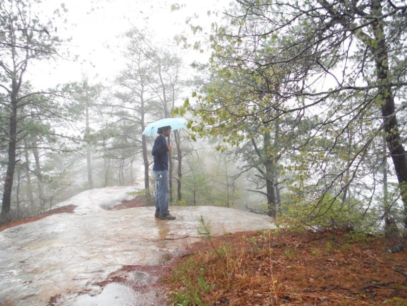 rei travel umbrella - the rei travel umbrella is light weight and small enough to be a...