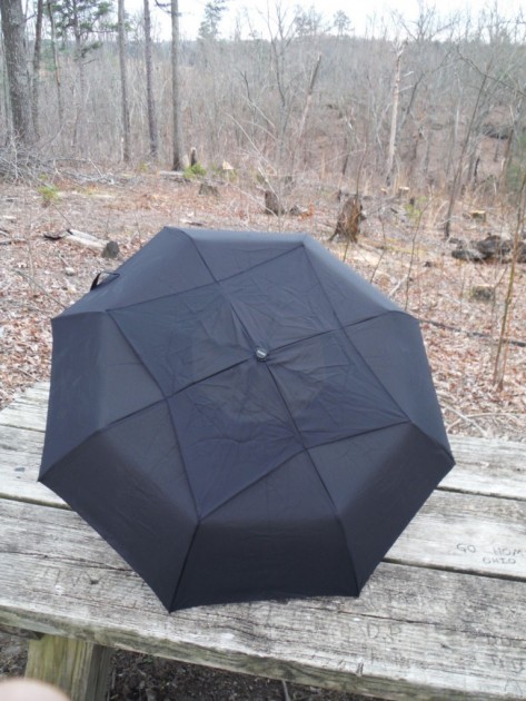 windpro compact auto - the canopy of the windpro when it&#039;s fully deployed. the dark color...