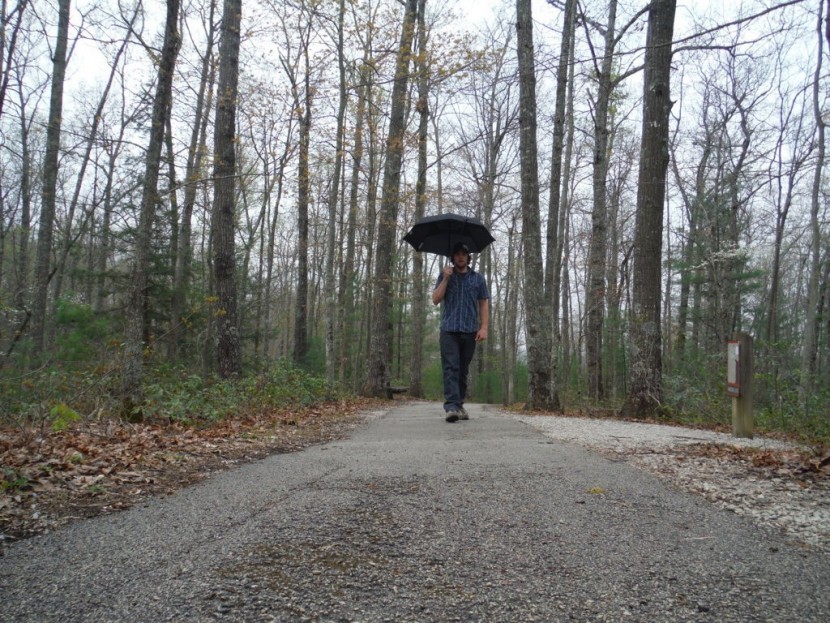 windpro compact auto - this product has a good sized canopy that both protects from the...