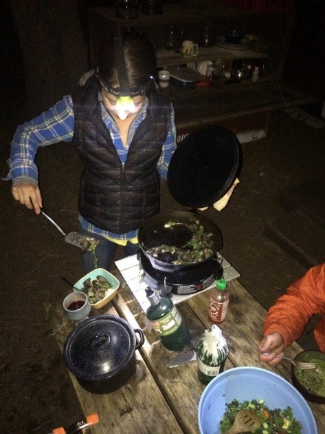 Amazon.com: Coleman Classic Camping Stove—3 in 1 Camping