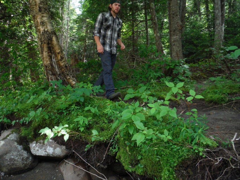 lacrosse hampton - we found that the hampton is comfortable enough to take on trails...