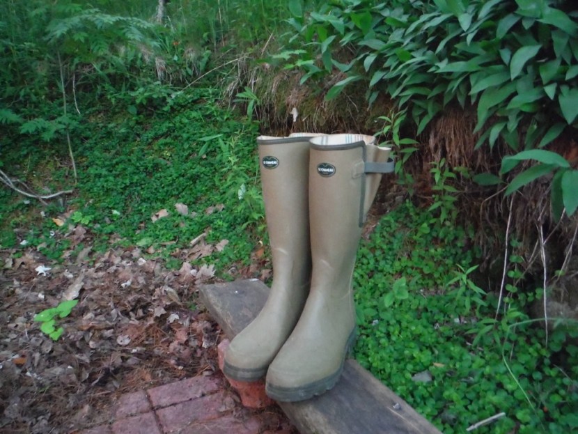 le chameau vierzon - this tall, uninsulated rain boot is a fine choice for mild weather.