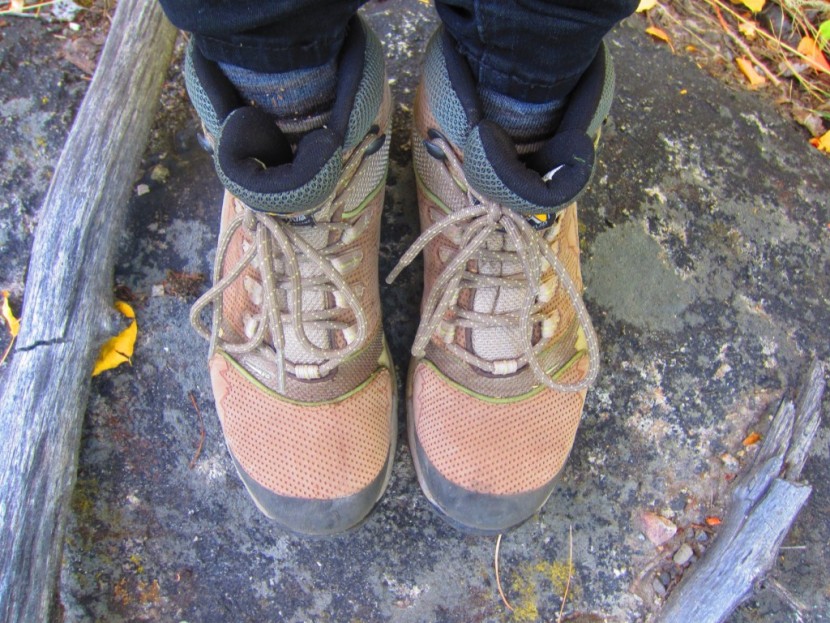 rocks and roots tested the stiffness and support of the la sportiva...