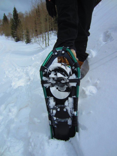 atlas elektra 12 for women - the atlas elektra 12 have fixed rotation bindings but offer nearly...