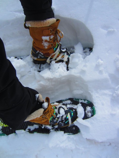 atlas elektra 12 for women - the narrow gait of the women's specific elektra 12 snowshoes is...