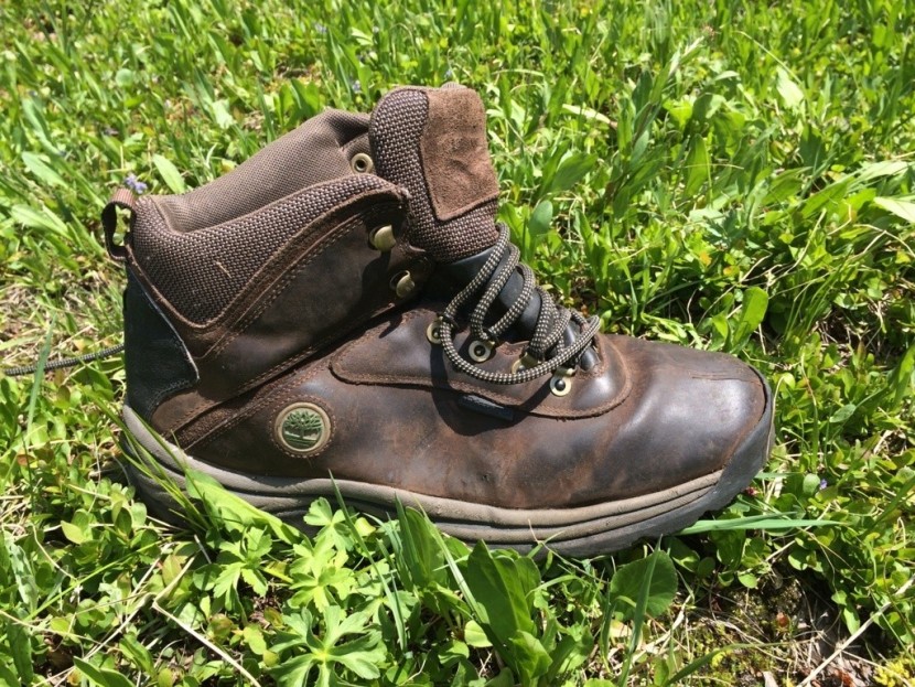 timberland white ledge mid hiker
