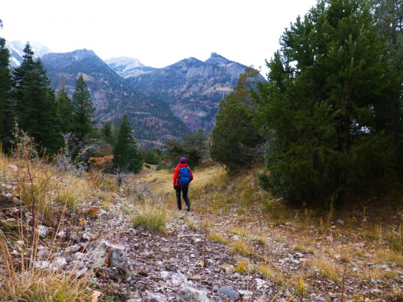 arc&#039;teryx atom ar hoody for women - the atom ar is on the more expensive side, but it&#039;s a great addition...