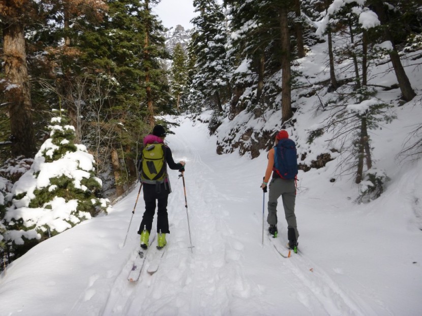 pow gem - take these gloves skinning on old country roads, or take them out to...
