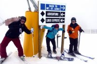 We skied resorts, backcountry, and Nordic tracks to find out which...