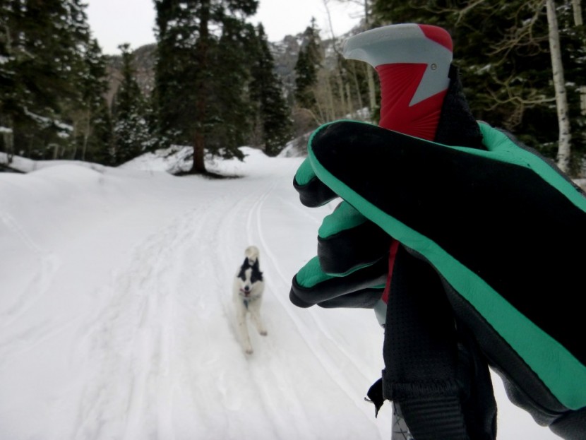 pow gem - the thin, soft material pictured here will keep your nose from...