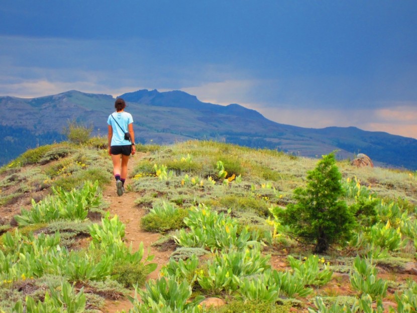 salomon x ultra gtx for women - walking across a ridgeline in the sierras, the salomon x ultra gtxs...