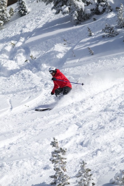 dps wailer 99 hybrid - in the powder, the dps wailer was the best performing ski in our...