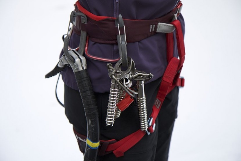 black diamond lotus - if you don't like carrying your screw in the front clipper slot, the...