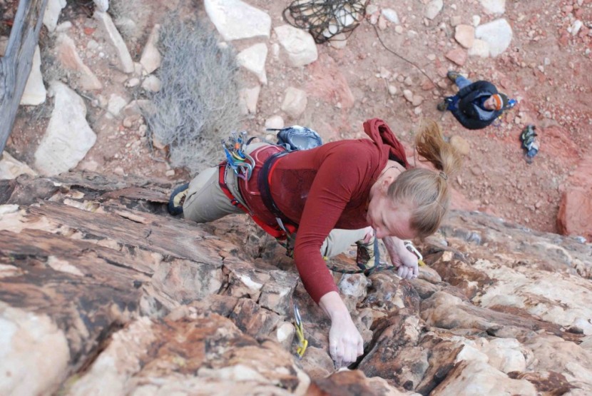 black diamond lotus - this is a great all-around harness. if you like to do it all, and...