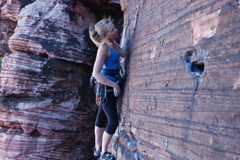 black diamond primrose - the latest version of this harness is comfortable, versatile, and...