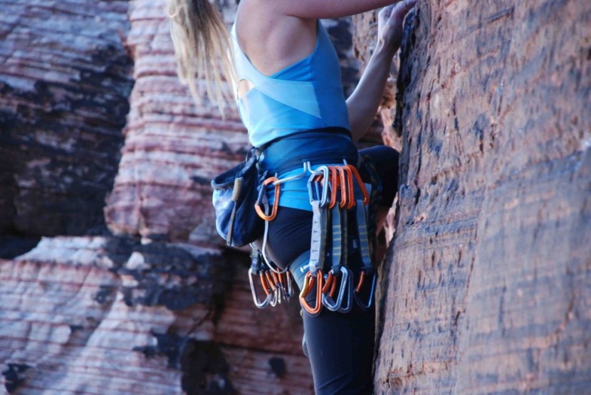 black diamond primrose - the gear loops are rigid and stick out from the sides of the...