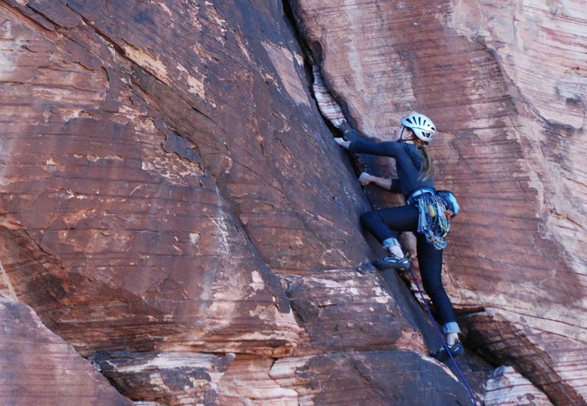black diamond primrose - if you like to clip bolts one day and jam cracks the next, but don't...
