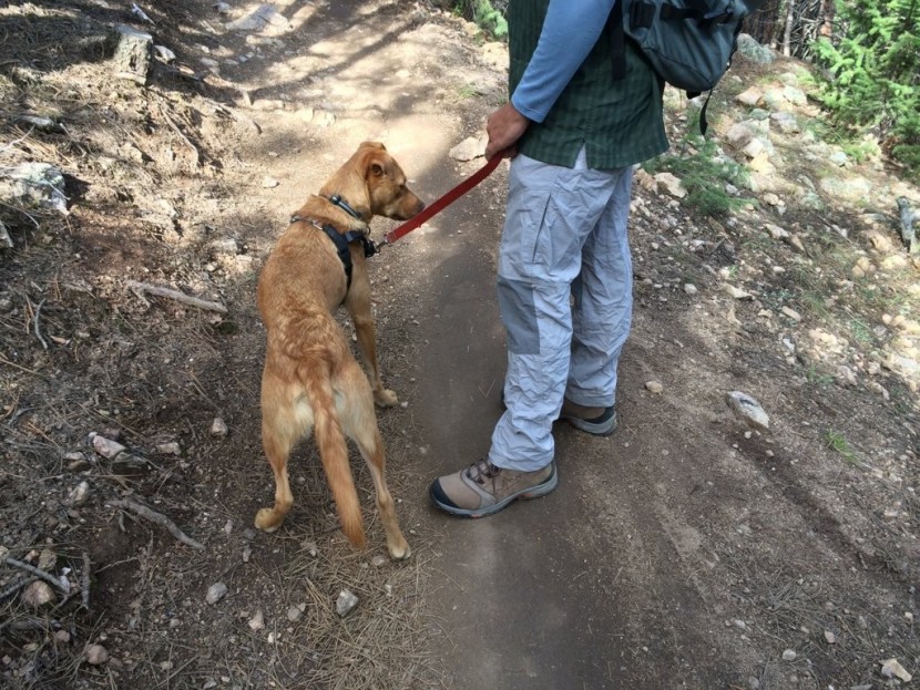 la sportiva fc eco 3.0