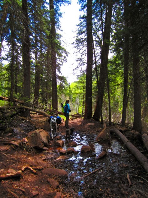 merrell azura for women - go for a hike and enjoy incredible landscapes. with a good pair of...