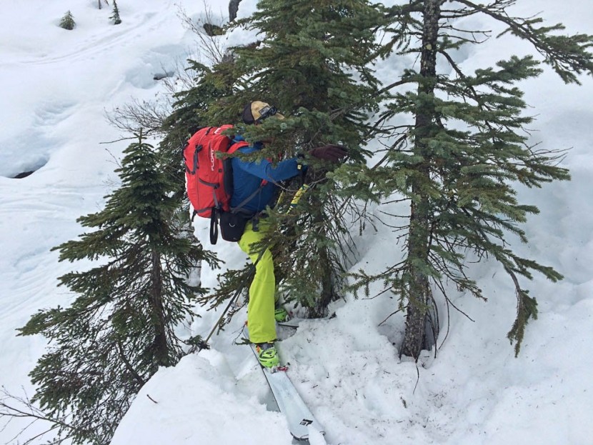 black diamond glidelite mohair pure - lead test editor at rogers pass. backcountry skiing isn&#039;t always...